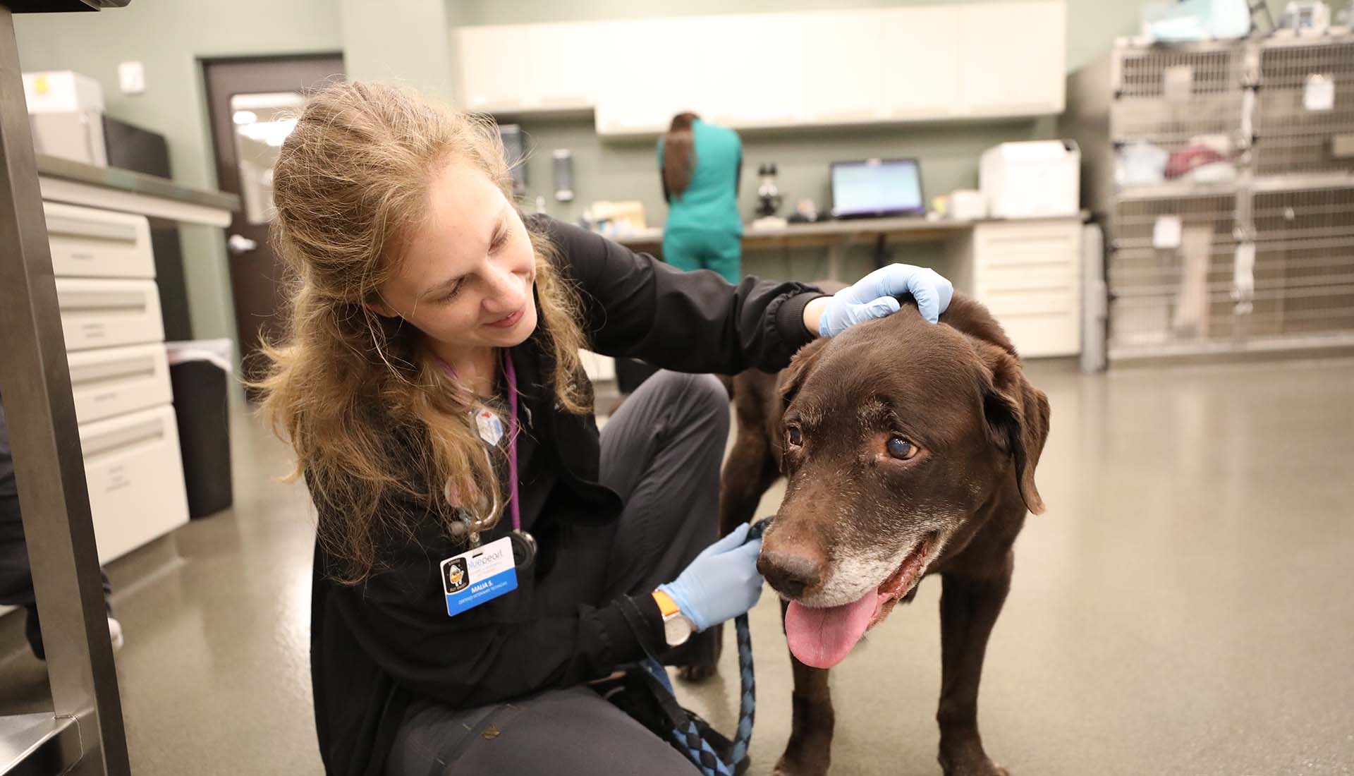 A Dip In The Gene Pool BluePearl Pet Hospital