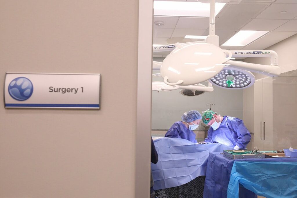 Looking into a window of a surgery suite, two surgeons work together.