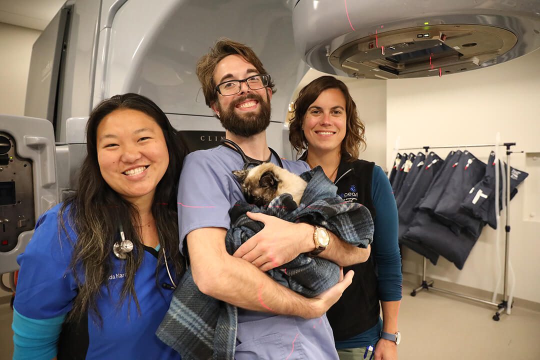 Three vet techs stand in front of a radiation machine and one holds a cat.