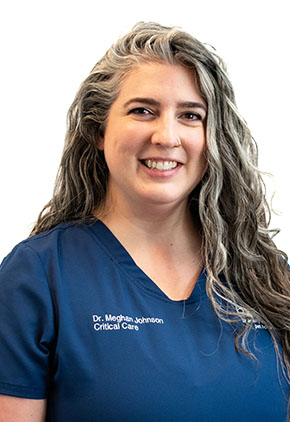 Dr. Meghan Johnson is a clinician in our critical care service.