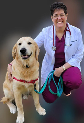 Dr. Kimberly Voisine is an internal medicine veterinarian at BluePearl Pet Hospital in Jacksonville, Florida.