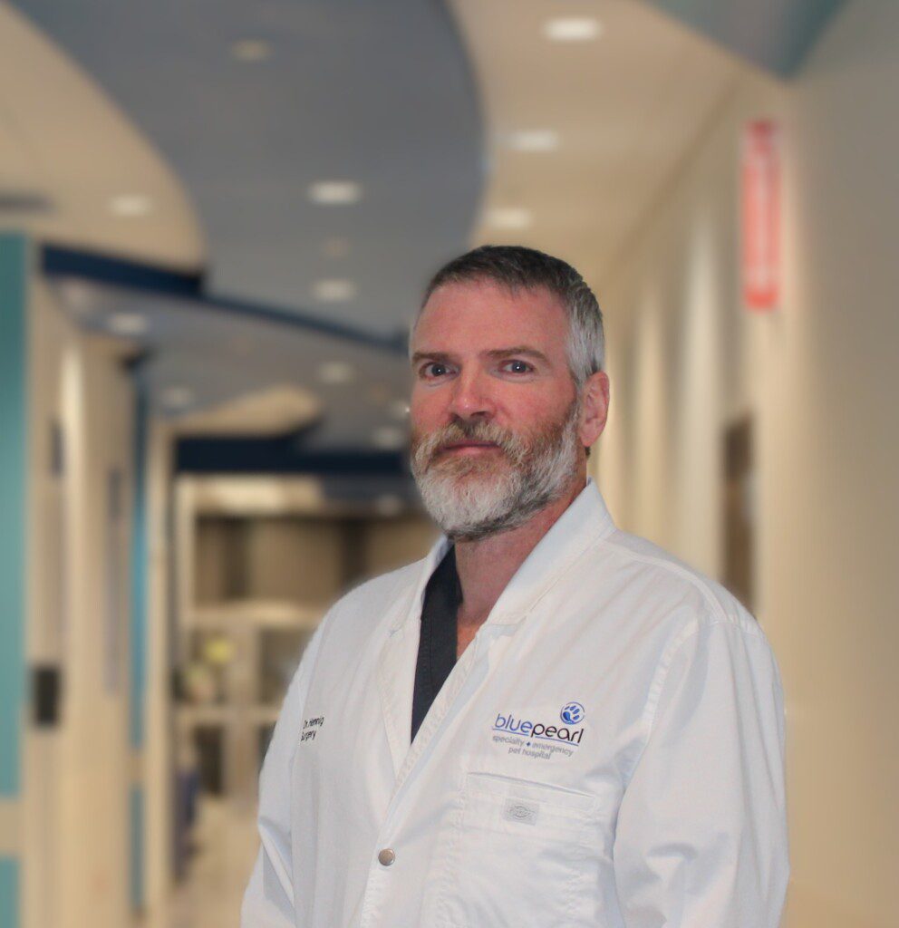 Dr. Geoff Henning poses for a professional headshot in the hall near the front desk in BluePearl Grand Rapids. He is wearing his white coat and a black dress shirt.