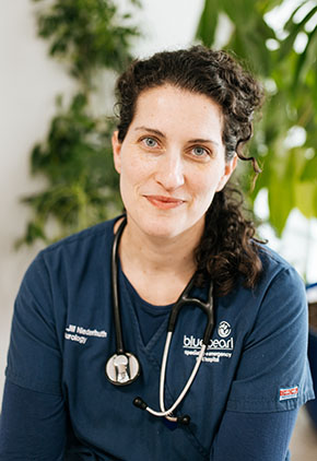 Dr. Jill Niederhuth smiles in the lobby area of our hospital. She is sitting in front of a large plant, wearing navy BluePearl scrubs and a black stethoscope around her neck.