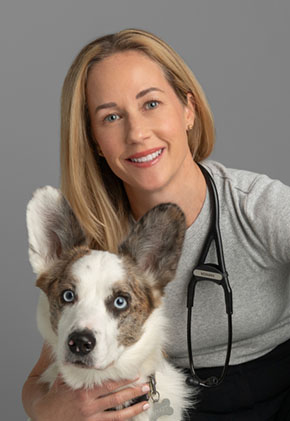 Dr. Emily Harison smiles for a professional photo with her tan and white Boston terrier. She is wearing a grey top and black pants and has a stethoscope around her neck. She is sitting on the floor with one arm around her dog.