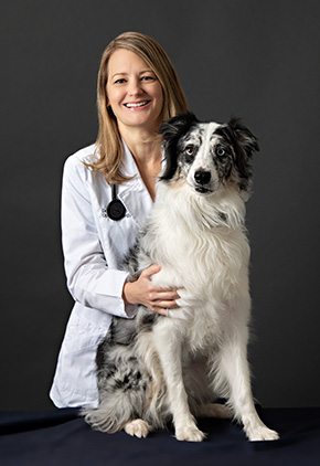Dr. Gwen Sila is an ophthalmology veterinarian at BluePearl Pet Hospital.