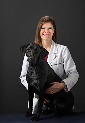 Dr. Christine Swanson is a veterinarian at BluePearl Pet Hospital.