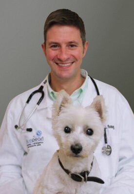 Dr. Brian Young is board certified in both veterinary internal medicine and emergency and critical care medicine. He is holding a small white dog.