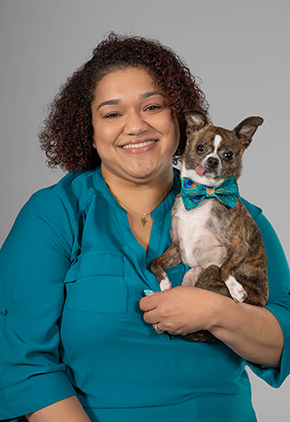 Shaina Mooshian smiles for a professional headshot in front of a grey studio background. She is wearing a teal blouse and holding her chihuahua mix, wearing a matching bowtie, in her arms.