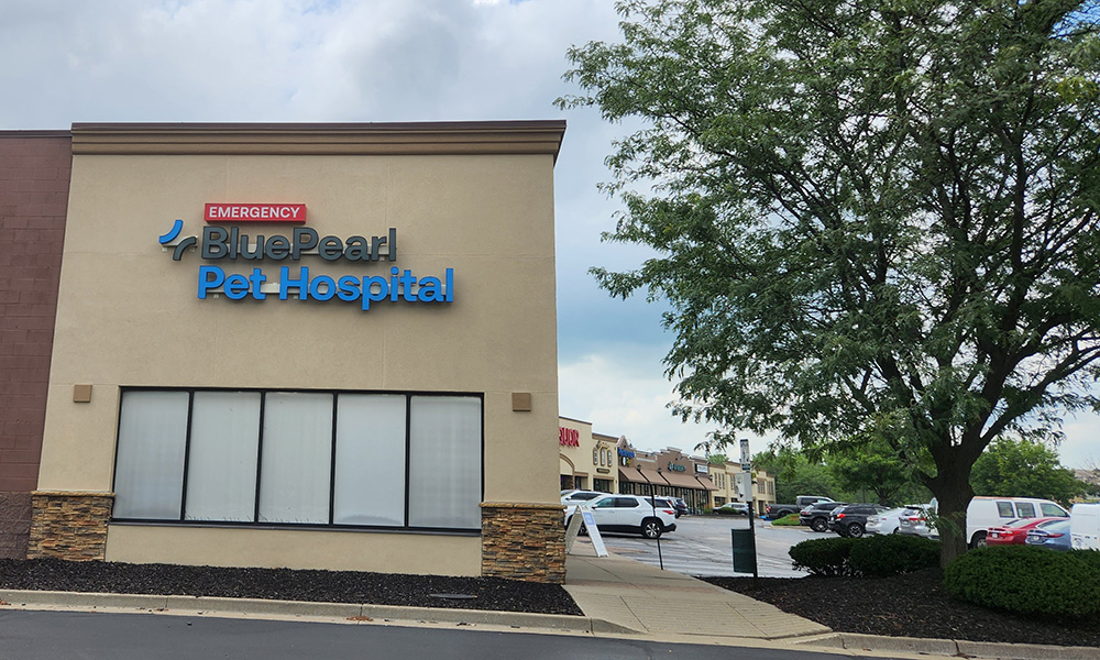 An exterior view of the front of the BluePearl Pet Hospital in Northland, Kansas City.