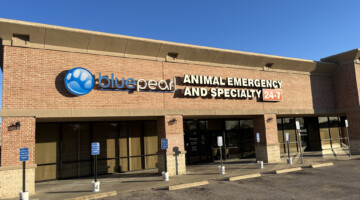 The image shows the front doors and exterior of the BluePearl Pet Hospital in Katy, TX.
