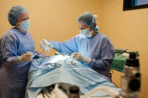 Two BluePearl doctors in scrubs performing a surgical procedure on a patient.