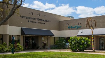 BluePearl Pet Hospital - Sarasota, FL - Exterior