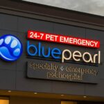 Homepage | BluePearl Specialty + Emergency Pet Hospital