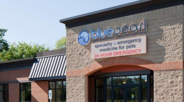 BluePearl Pet Hospital | Skokie, IL | Emergency Vet
