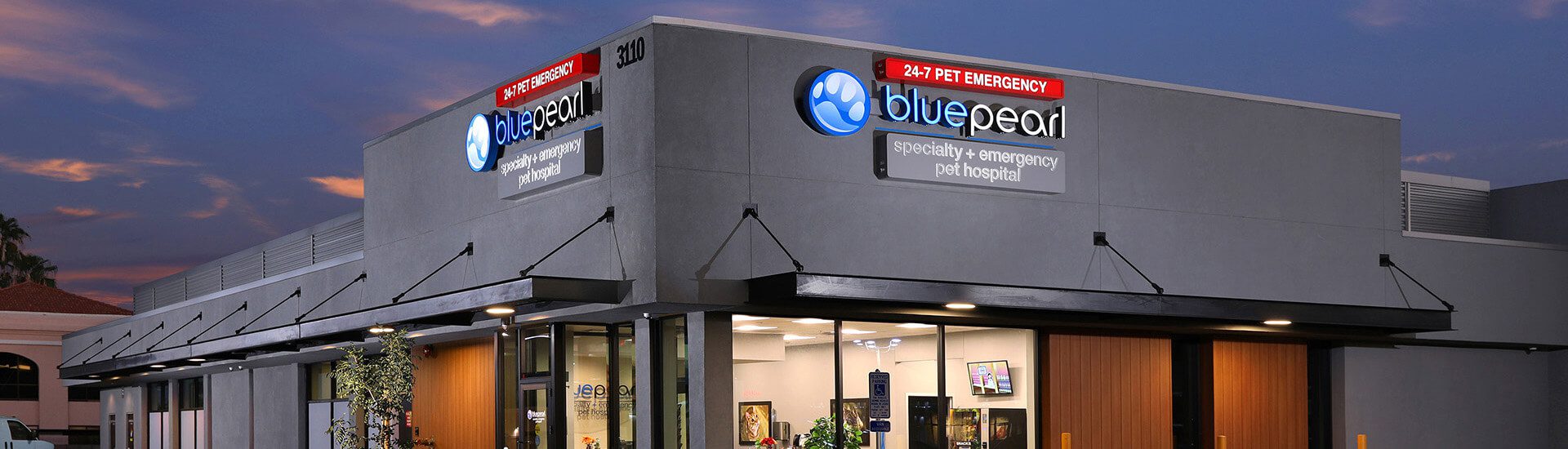 BluePearl Pet Hospital | Phoenix, AZ | Emergency Vet