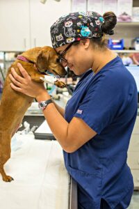 A BluePearl vet technician gives a dog an affectionate head bump.