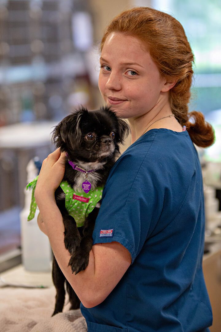 BluePearl Pet Hospital Greenbrier Chesapeake VA   BluePearl Vet With Small Black Dog 