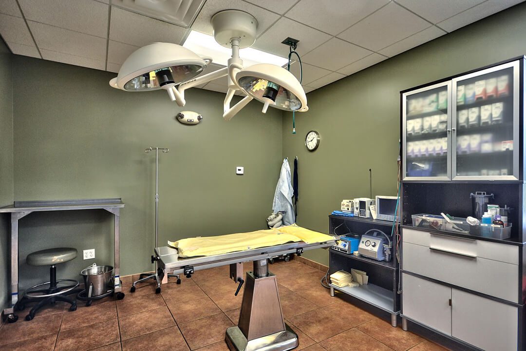 Surgical Suite has two lights above a table with shelving next to it.