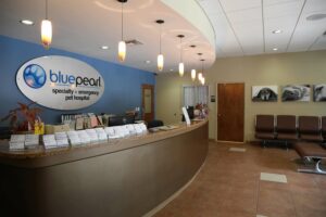 Bluepearl Pet Hospital Brandon Fl 24 7 Emergency Vet