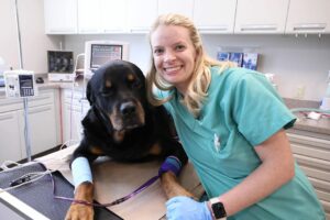 A smiling blond vet stands next to a large black dog on a table.