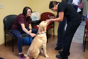 Blue Pearl Clearwater >> Bluepearl Pet Hospital Clearwater Fl Emergency Vet Blue Pearl Clearwater >> Bluepearl Pet Hospital Clearwater Fl Emergency Vet