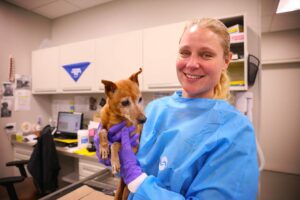 Smiling vet tech holds a small brown dog.