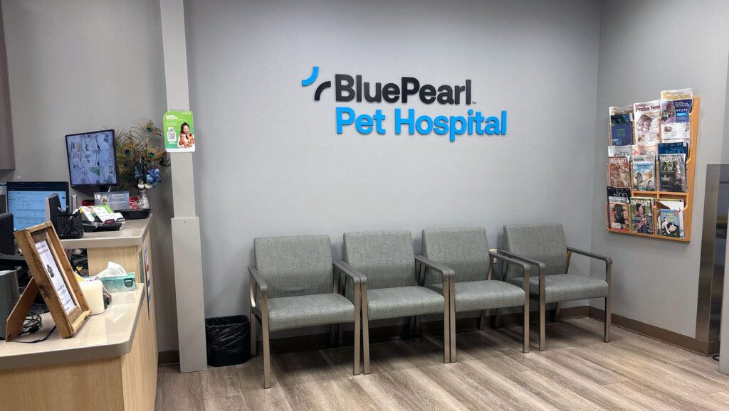 A well-lit lobby with a reception desk, chairs, a magazine rack, and a logo on the wall that says, "BluePearl Pet Hospital."