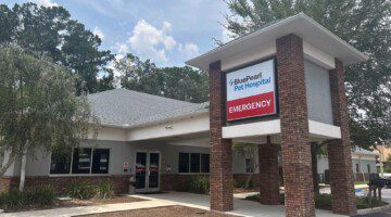 An exterior view of the front of the BluePearl Pet Hospital in Gainesville, FL.