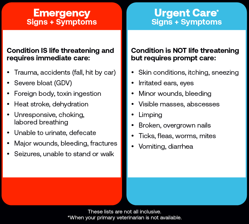 A graphic shows when to take a pet to the emergency room and when to take them to an urgent care clinic.