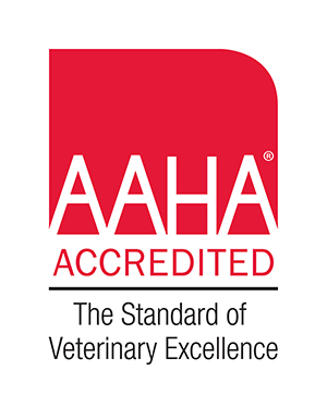 A red and white logo reads "AAHA Accredited - The Standard of Veterinary Excellence."