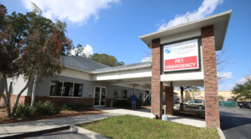 An exterior view of the front of the BluePearl Pet Hospital in Gainesville, FL.