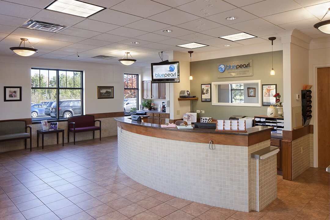 BluePearl Pet Hospital Veterinary Specialists Grand Rapids MI