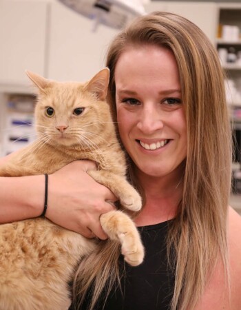 A blond Veterinary Relations Representative holds an orange tabby cat.