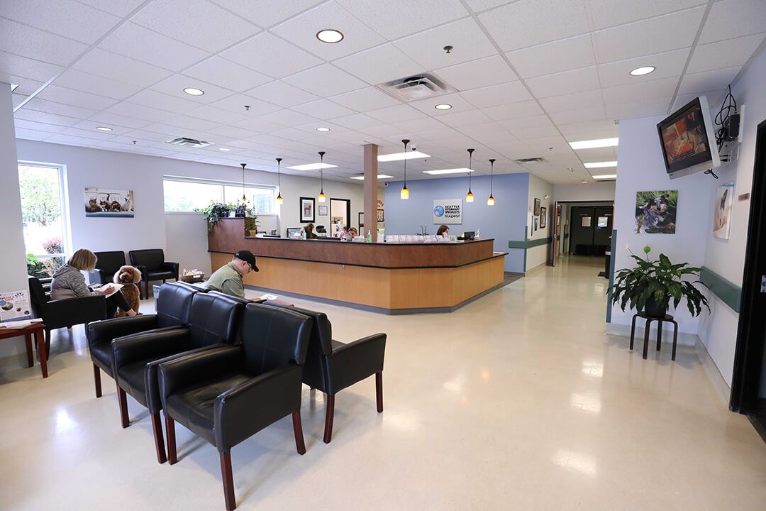 Bright spacious lobby with seating in forefront and help desk in background.