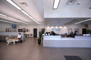 Bright spacious lobby with help desk on the right and chairs on left.