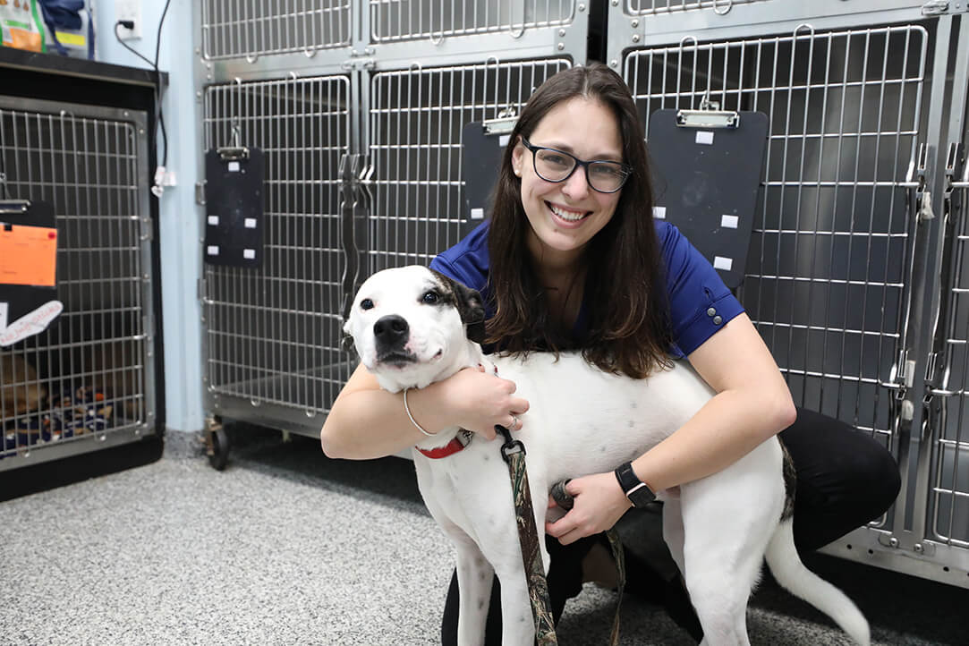 A vet tech holds a black and white dog