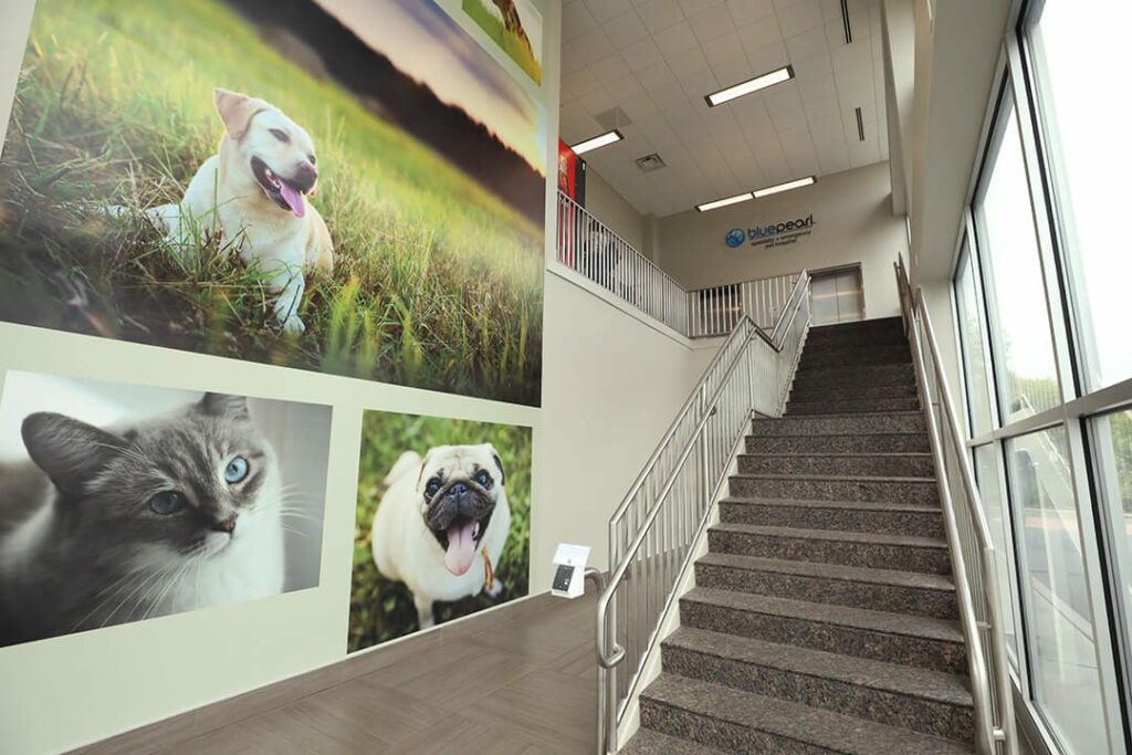 Stairway leads to hospital entry on second floor with large animal photos to the left.