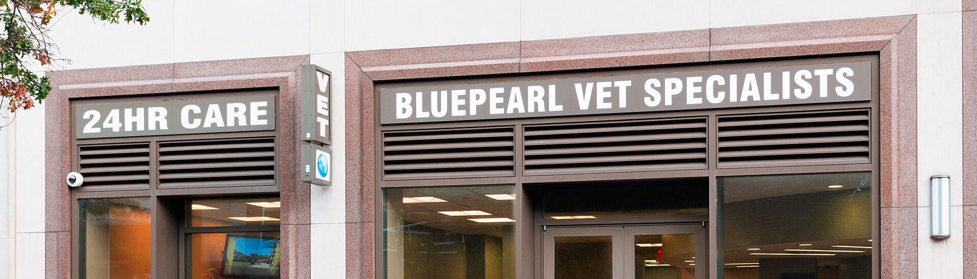 BluePearl Pet Hospital | Queens, NY | Emergency Vet