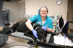 A smiling tech embraces a large black dog on a table.