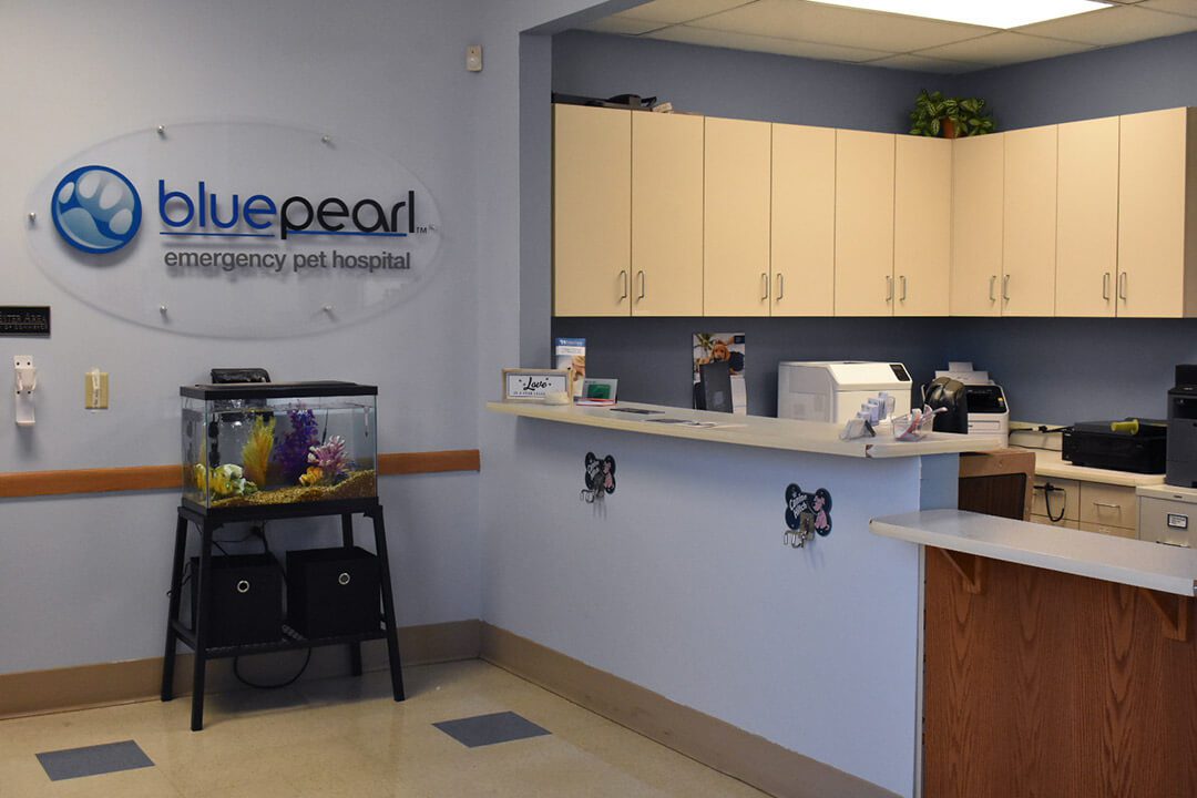 A BluePearl sign and fish tank are next to the front desk.