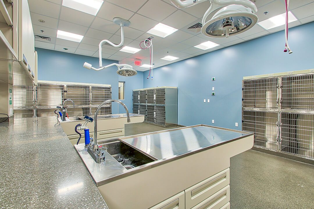 A double surgery suite is equipped with two tables and overhead lights.