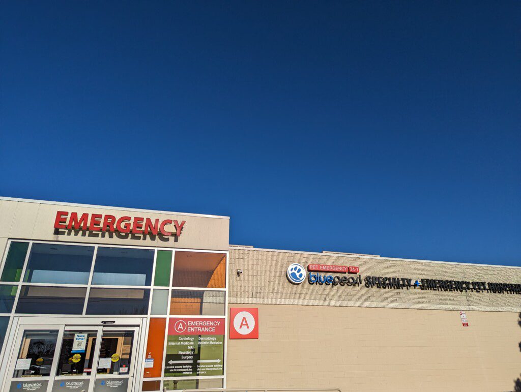 BluePearl Pet Hospital