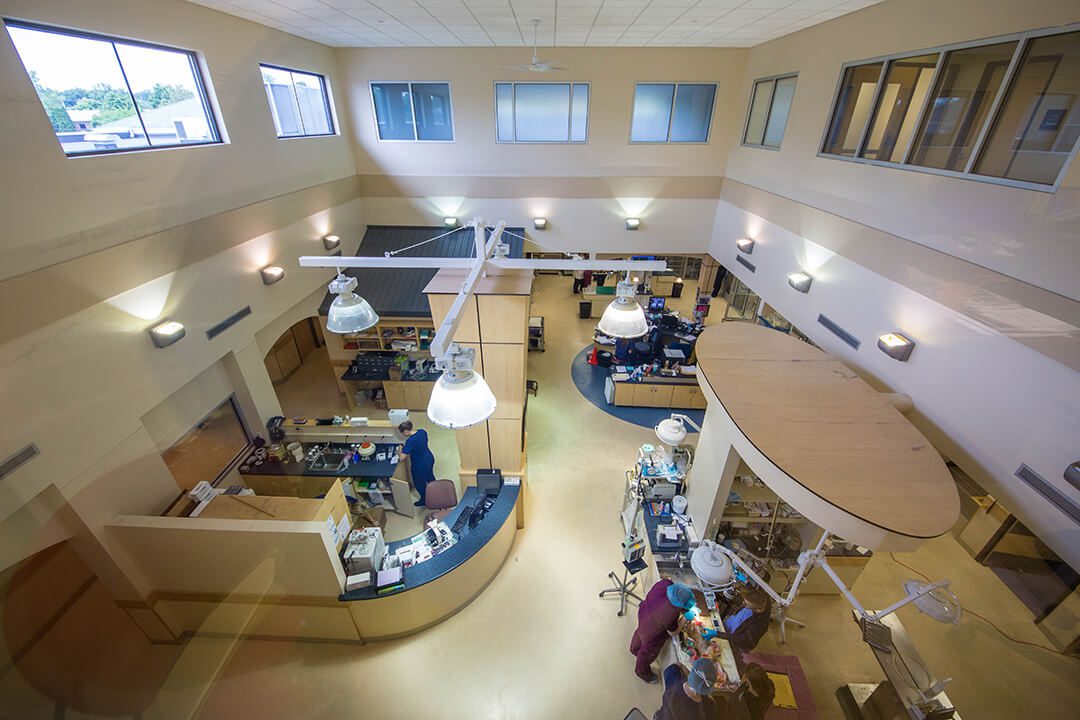 BluePearl Pet Hospital - Southfield, MI - High Angle