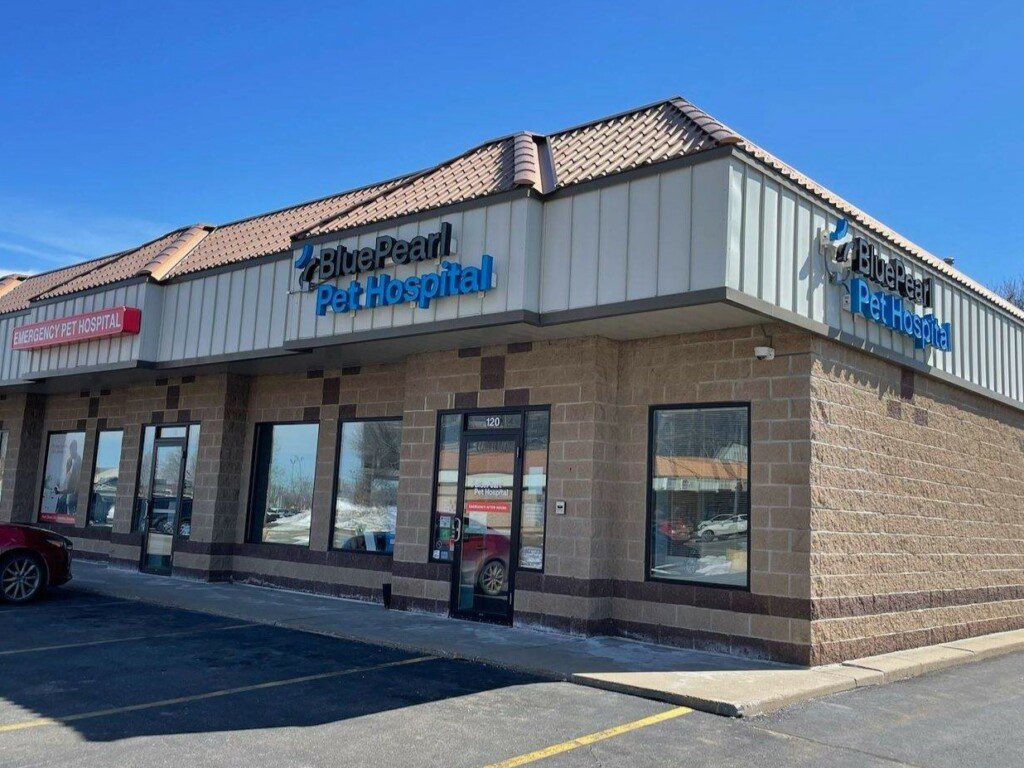 An exterior view of the front of the BluePearl Pet Hospital in St. Cloud, MN.
