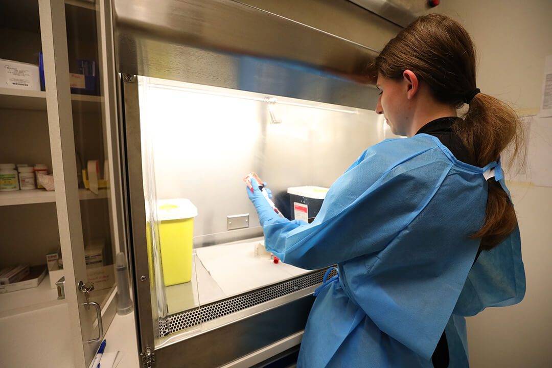 Female tech prepares chemo treatment behind glass hood.