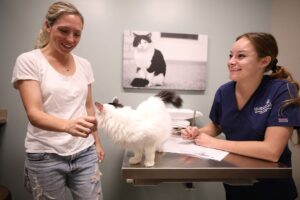 Pet owner and veterinary technician in exam room discuss new treatment options for pet owner's cat.