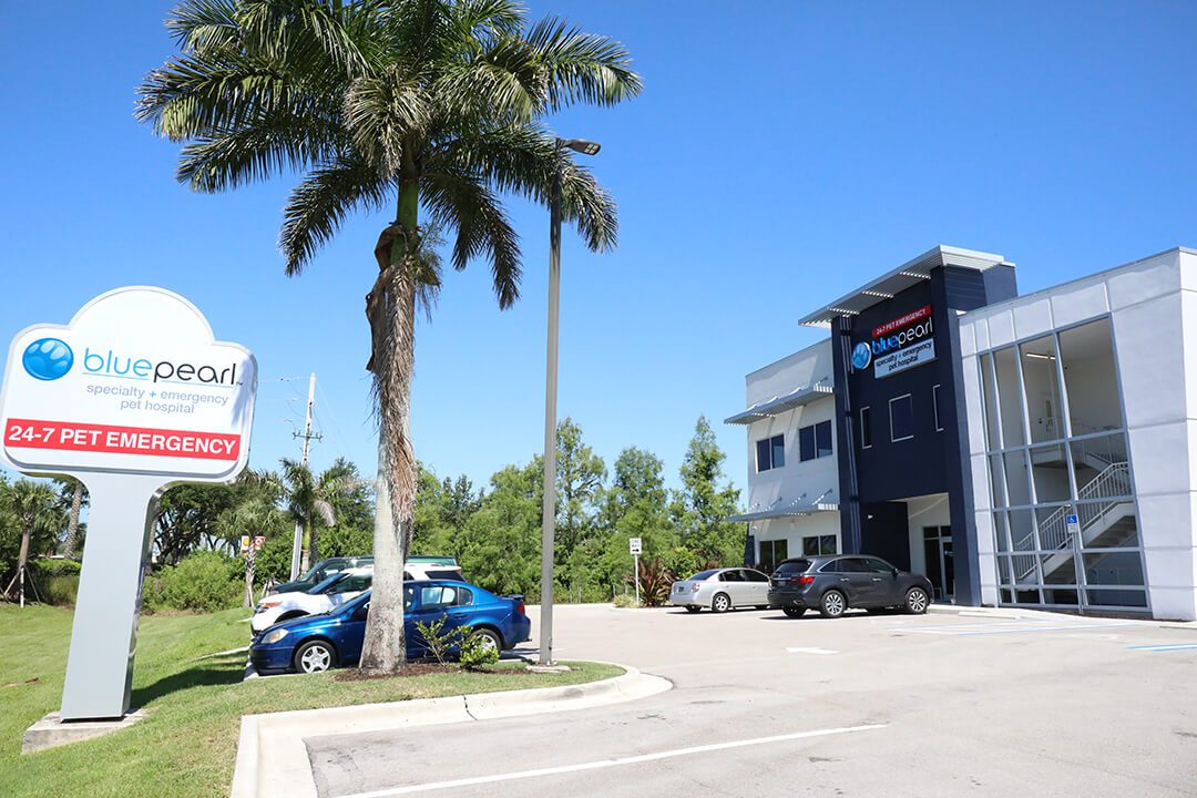 Exterior shot of BluePearl in Fort Myers, FL