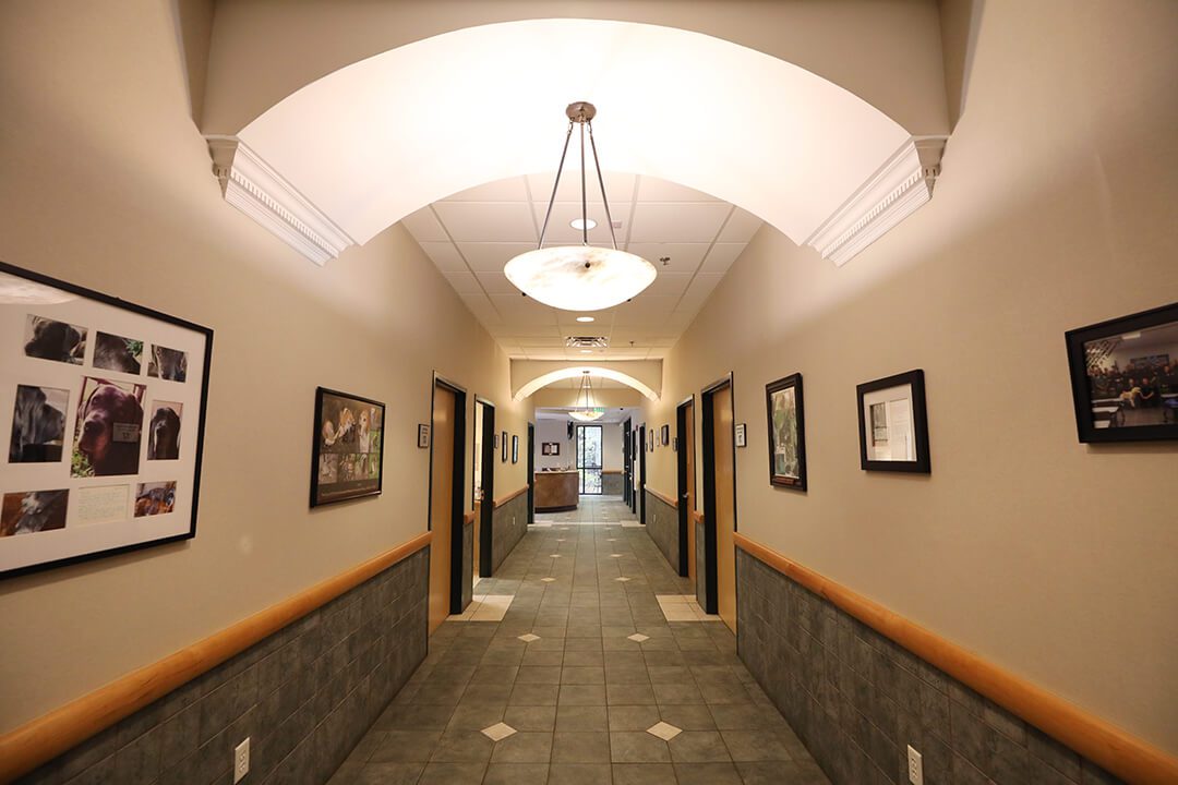 A well lit hallway is decorated with framed photos.