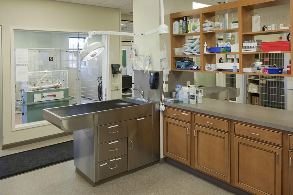 BluePearl Pet Hospital Grand Rapids, MI Emergency Vet