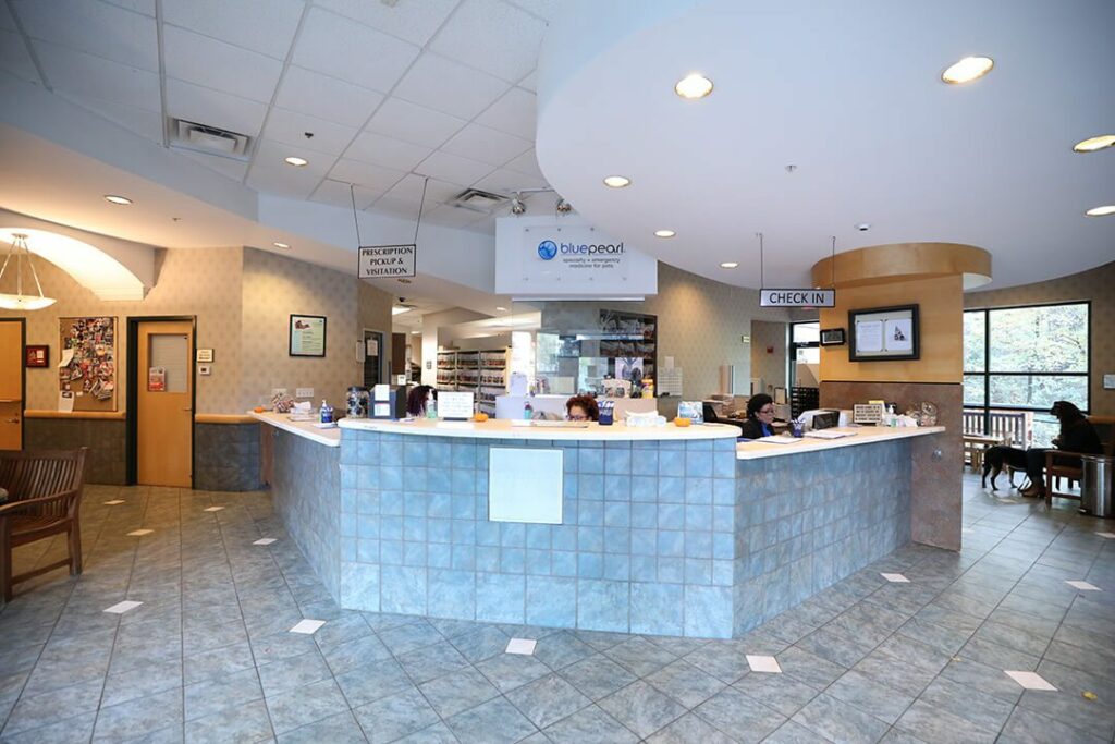 BluePearl Pet Hospital Sandy Springs, GA 24/7